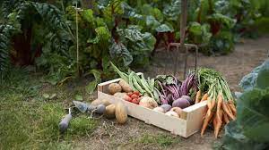 when to plant vegetables a month by