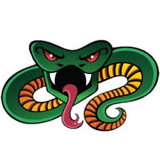 They worship snakes, or something.— killian darkwater. Striking Vipers Esports Striking Vipers Twitter