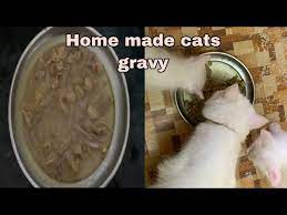 homemade beef gravy for cats