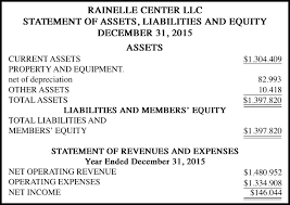 Rainelle Center Llc Statement Of Assets Liabilities And Equity
