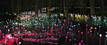 Longwood Gardens Light Show Landscaping