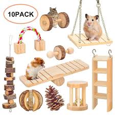 hamster chew toys set of 10 natural
