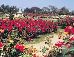 Victorian Garden Design Ludwig S Roses