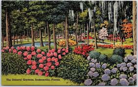 Vintage Postcard The Oriental Gardens