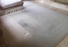 upholstery cleaning of colorado springs
