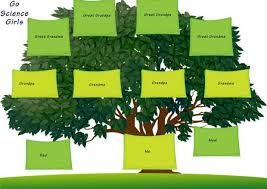 family tree template for kids 15