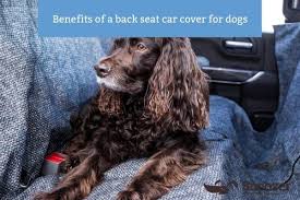 Back Seat Car Cover For Dogs