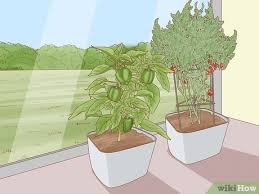 How To Protect Plants From Animals 11