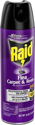 raid flea plus carpet and room
