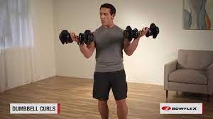 bowflex dumbbell workout the