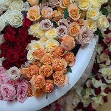 ecuadorian roses calgary ab florist