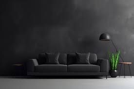 Living Room With Plain Black Sofa