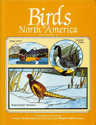 birds ducks decoys north america