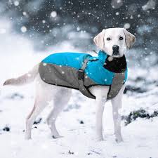Waterproof Dog Winter Coat Vest