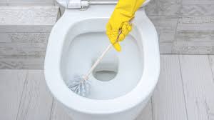 the hack that ll keep your toilet brush
