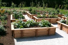 why you should have raised veggie beds