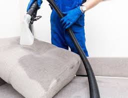 carpet cleaning raleigh nc