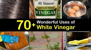 70 wonderful uses of white vinegar