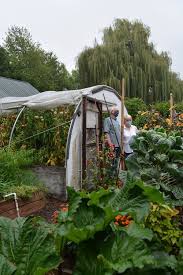 A Greenhouse To Your Garden