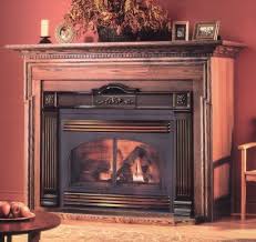 Propane Gas Fireplace Inserts