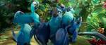 pictures of 2 parrots kissing images for her