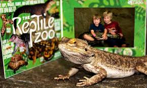 admission to the reptile zoo