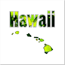 Hawaii Posters And Art Prints Teepublic