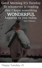 Mary pope osborne (magic treehouse) : Good Morning It S Tuesday To Whomever Is Reading This I Hope Something Wonderful Happens To You Today Kelly S Treehouse Happy Tuesday 3 Meme On Me Me
