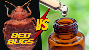 essential oils for bed bugs