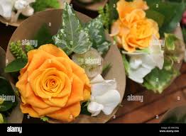 Japan aoyama flower market hi-res stock photography and images - Alamy