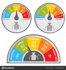 Index Body Mass Bmi Medical And Fitness Chart Vector