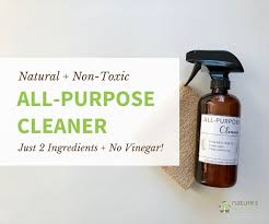 natural homemade all purpose cleaner