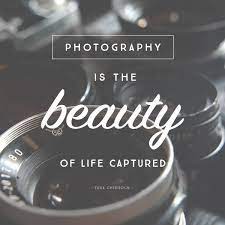 To me a photograph is a page from life. 12 Quotes Inspire Photography Journey Quotes About Photography Camera Quotes Photography Inspiration Quotes
