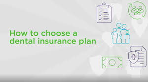 You can compare dozens of options available in your area to find the right balance between price and coverage. Best Dental Insurance How To Choose Delta Dental