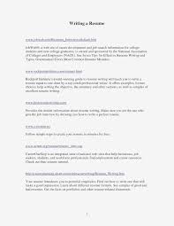 10 Writing A Professional Summary Examples Resume Samples