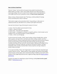 short essays written by famous authors mistyhamel how to write a short essay for college repayment contract template