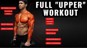 upper body workout for max muscle growth