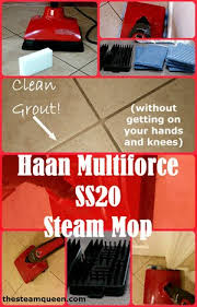 haan multiforce ss20 steam mop review
