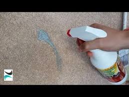 how to get fabric paint out of carpet