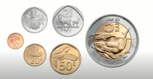 2023 money currencies in south africa