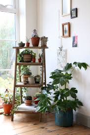 living room indoor plants