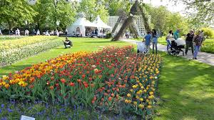 Überall gibt es etwas neues zu entdecken: Tulipan Im Britzer Garten Berliner Abendblatt