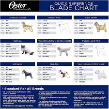 Oster A5 Blade For Cats Size 10