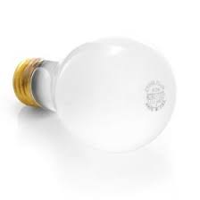 100 Watt Long Life Incandescent Light Bulbs Frosted 20 000 Hrs 6 Pack