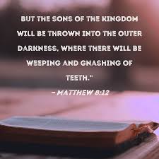 matthew 8 12 but the sons of the