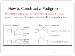 Ppt Blueprint Of Life Topic 9 Pedigrees Powerpoint