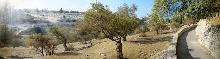 garden of gethsemane jerum bein