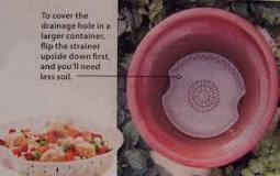 should-i-cover-drainage-holes-in-pots