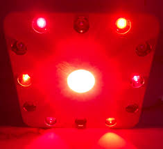Red Light Therapy And Cognitive Performance