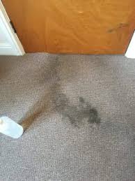 wool carpet cleaning tips